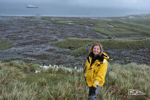 Visita a Salisbury Plain, na Geórgia do Sul, a 2a maior colônia de pinguins rei do mundo